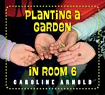 Planting a Garden in Room 6: From Seeds to Salad