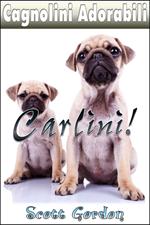 Cagnolini Adorabili: I Carlini