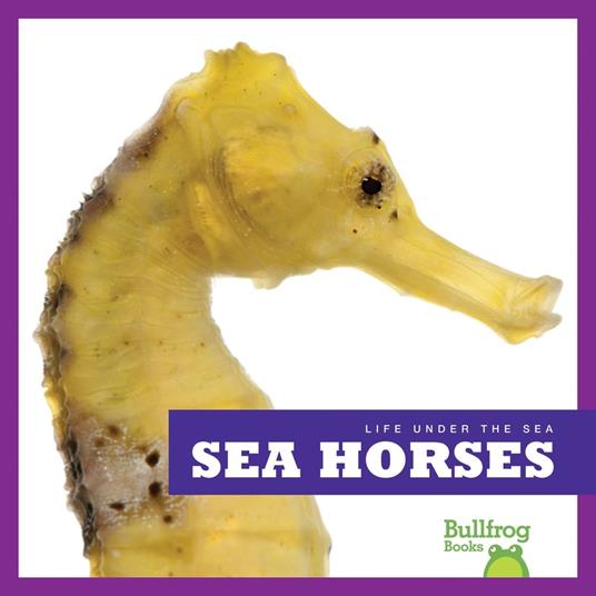 Sea Horses