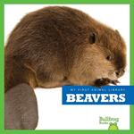 Beavers