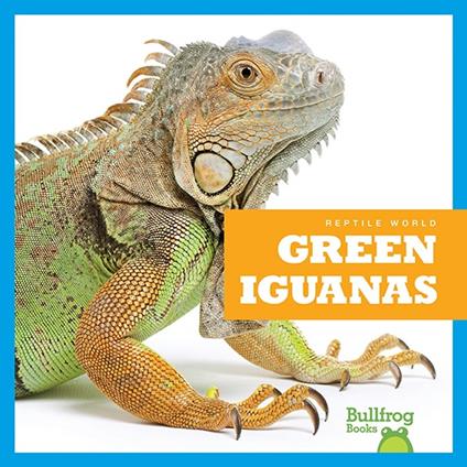 Green Iguanas