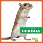 Gerbils