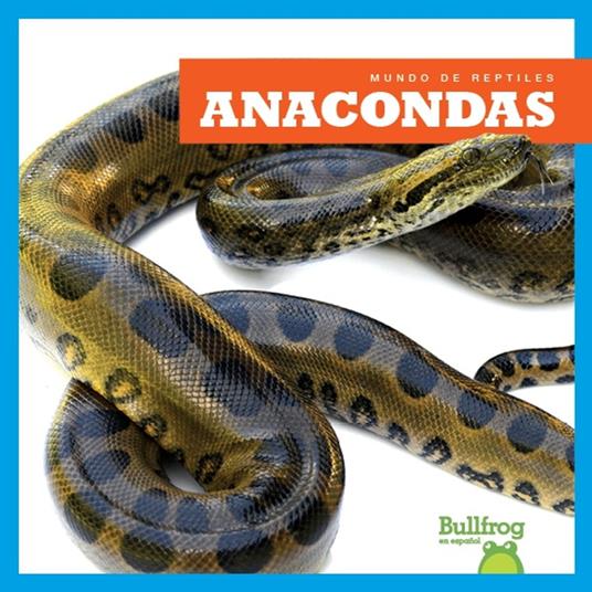 Anacondas