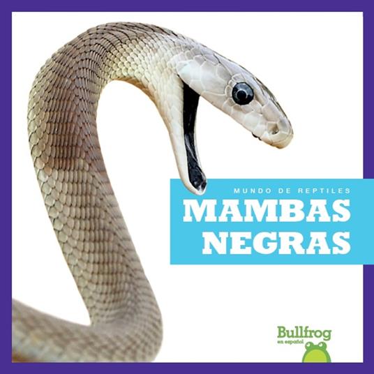 Mambas negras