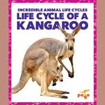 Life Cycle of a Kangaroo