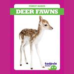 Deer Fawns