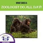 What Does a Zoologist Do?