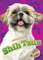 Shih Tzus