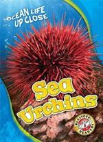 Sea Urchins