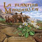 La plantita Margarita