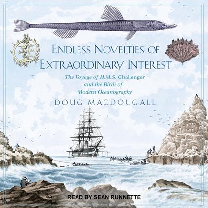 Endless Novelties of Extraordinary Interest