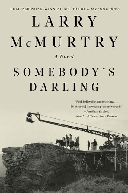 Somebody's Darling: A Novel