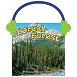 Seasons Of The Boreal Forest Biome