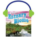 Seasons Of The Estuary Biome