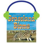 Seasons Of The Grassland Biome