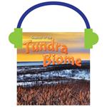 Seasons Of The Tundra Biome