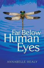 Far Below Human Eyes