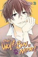 That Wolf-boy Is Mine! 3