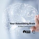 Your Astonishing Brain