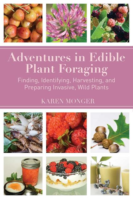 Adventures in Edible Plant Foraging