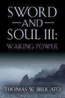 Sword and Soul III: Waking Power