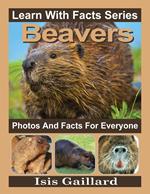 Beavers Photos and Facts for Everyone