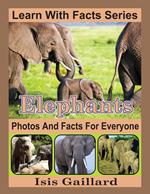 Elephants Photos and Facts for Everyone