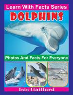 Dolphins Photos and Facts for Everyone