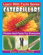 Caterpillars Photos and Facts for Everyone