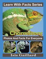 Chameleons Photos and Facts for Everyone