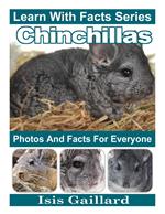 Chinchillas Photos and Facts for Everyone