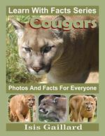 Cougars Photos and Facts for Everyone