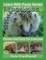 Hedgehogs Photos and Facts for Everyone