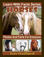 Horses Photos and Facts for Everyone
