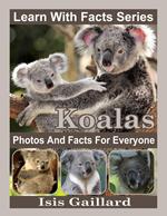 Koalas Photos and Facts for Everyone