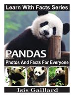 Pandas Photos and Facts for Everyone