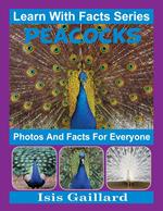 Peacocks Photos and Facts for Everyone