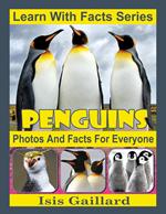 Penguins Photos and Facts for Everyone