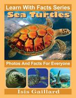 Sea Turtles Photos and Facts for Everyone