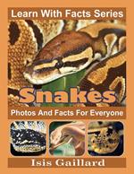 Snakes Photos and Facts for Everyone