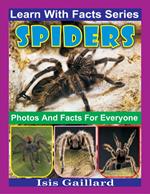 Spiders Photos and Facts for Everyone