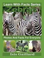 Zebras Photos and Facts for Everyone