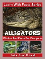 Alligators Photos and Facts for Everyone