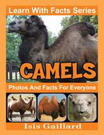 Camels Photos and Facts for Everyone