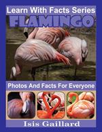 Flamingo Photos and Facts for Everyone