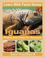 Iguanas Photos and Facts for Everyone