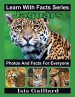 Jaguars Photos and Facts for Everyone