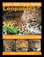 Leopards Photos and Facts for Everyone