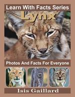 Lynx Photos and Facts for Everyone