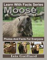 Moose Photos and Facts for Everyone